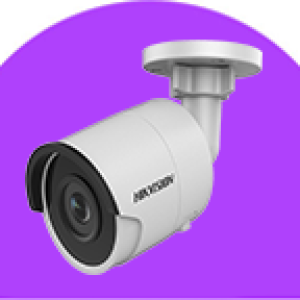 icon Security & Surveillance